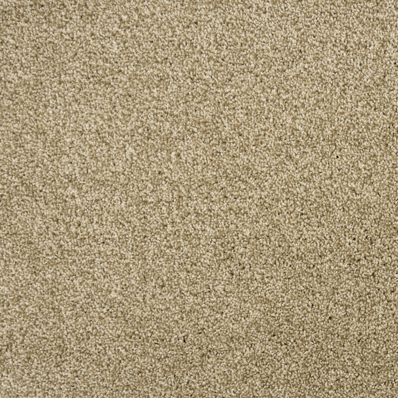 Picture of Penthouse Synthetic Carpets Performance