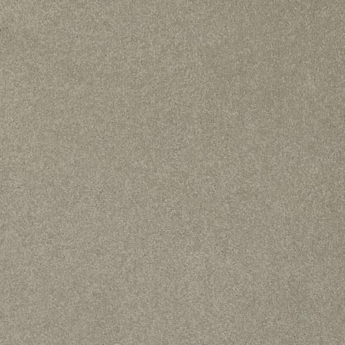 Victoria Carpets First Impressions