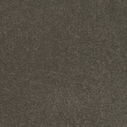 Victoria Carpets First Impressions