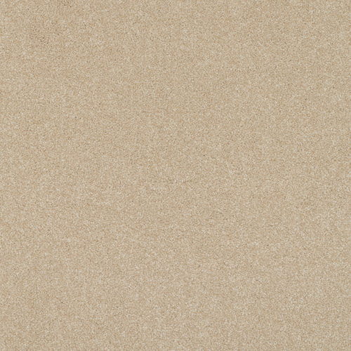 Victoria Carpets First Impressions