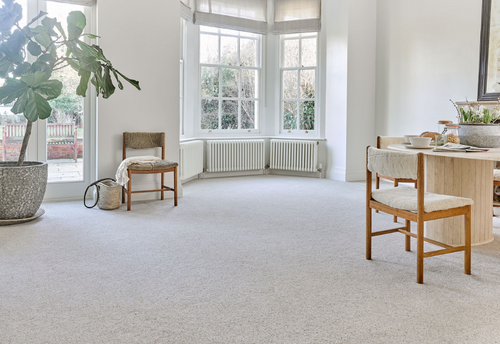 8 Things to Consider When Buying a Carpet