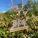 Mens Iced Blinged Out Born For Greatness Hip Hop Name Plate Pendants