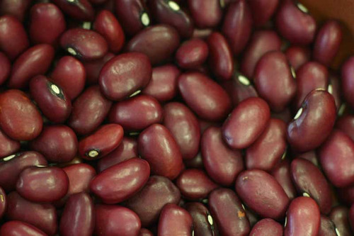 BEANS RED SMALL POLISHED   (50#)