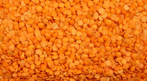 LENTILS RED SPLIT ORGANIC   (25#)