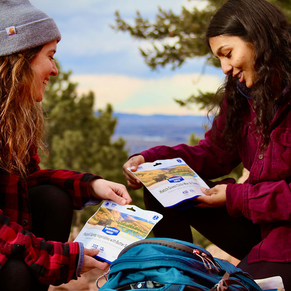 Hatch Chile Mac & Cheese - Single Serve (6 Units)