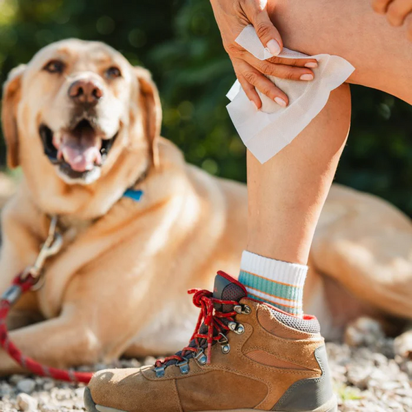 After Ivy Complete Wipes