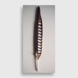 T.A.G. (Tom) Smith Peregrine Falcon Feather, from the Montana Bird Series 