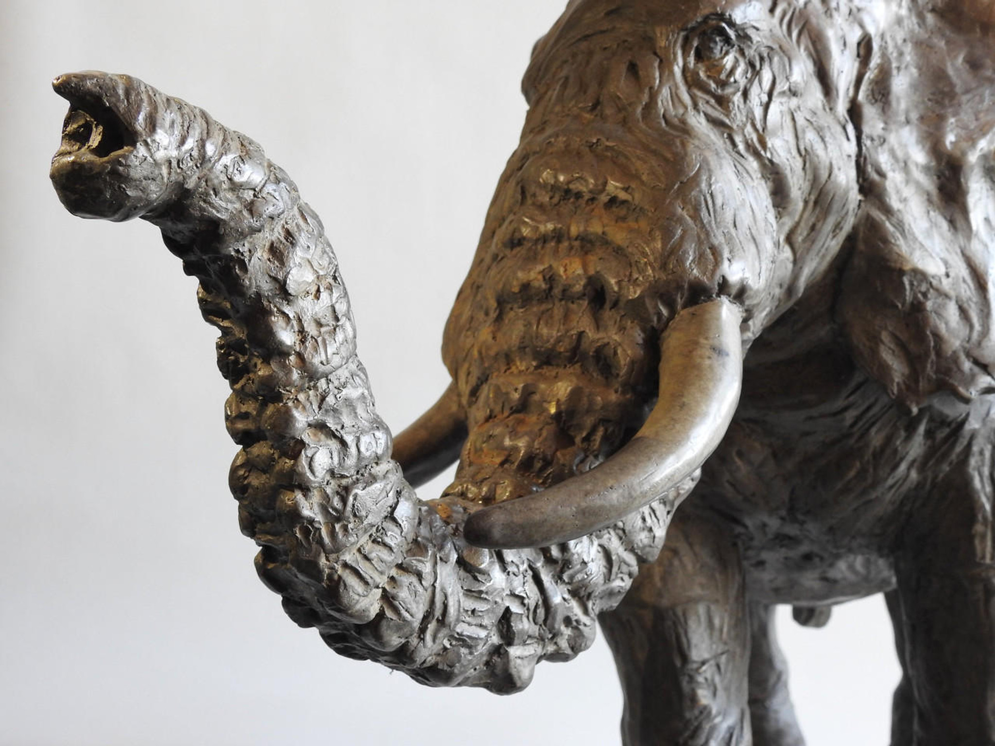 Titan, Large Bronze Elephant Sculpture, 15";  by Kindrie Grove of Canada, Handmade Bronze Sculpture | available in the elk & HAMMER Gallery of Bozeman, Montana; curated by Ashley Childs, artist, maker, owner and creative director of elk & HAMMER.