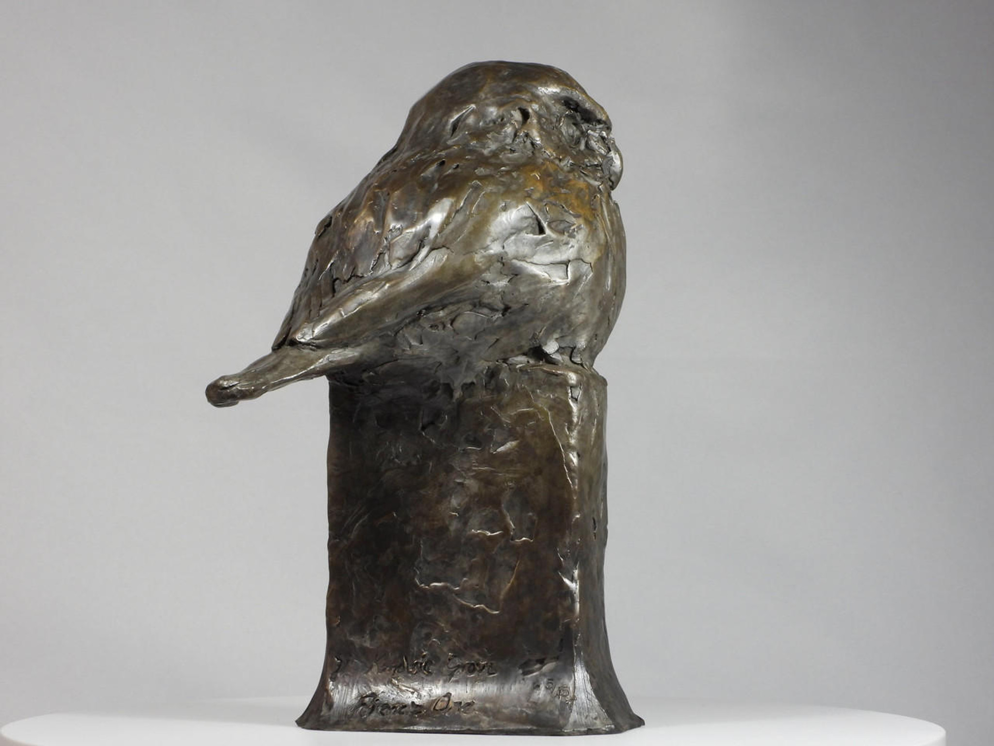 Kindrie Grove Fierce One, Pygmy Owl, 9", Bronze Owl Sculpture 