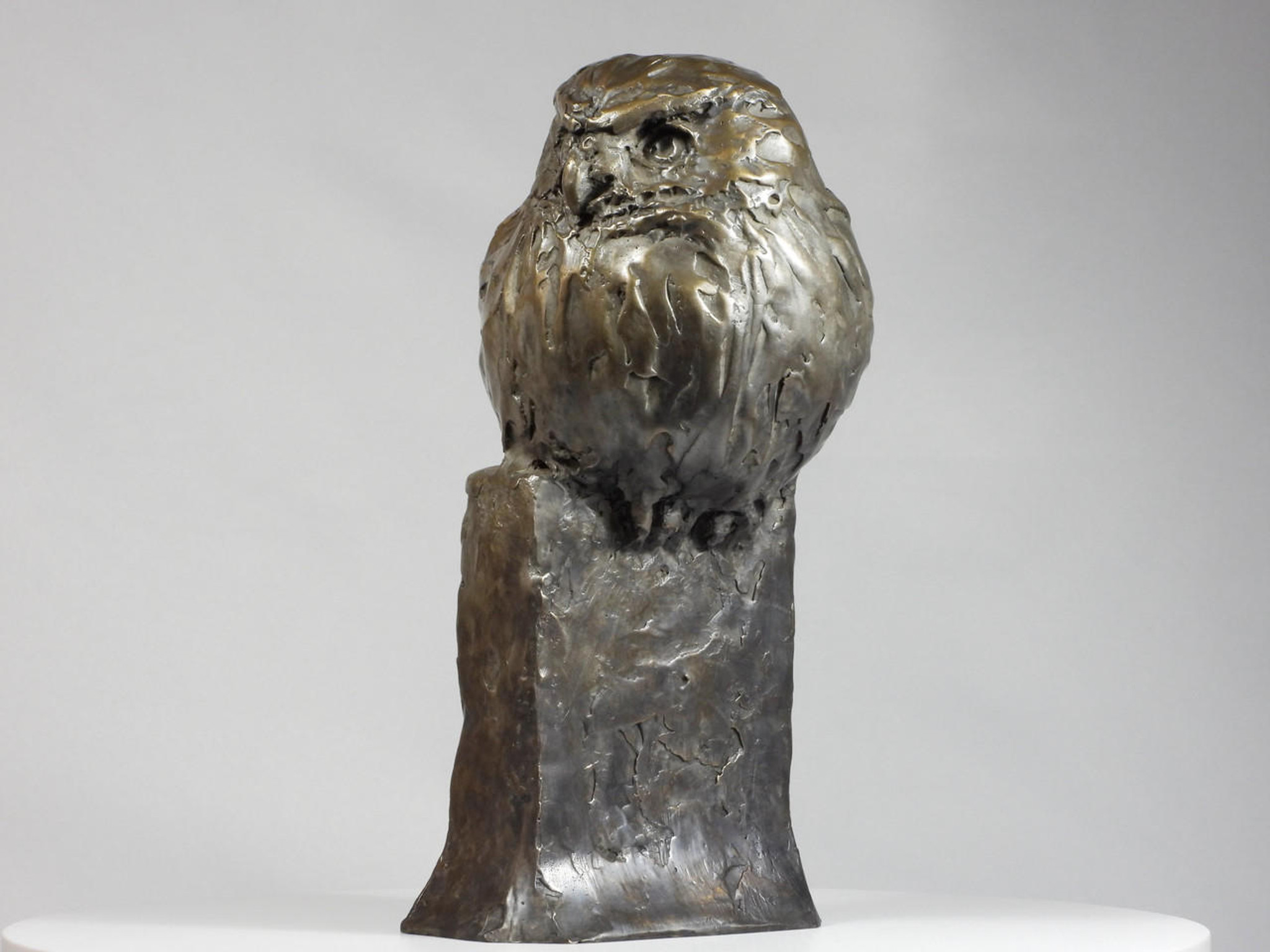 Kindrie Grove Fierce One, Pygmy Owl, 9", Bronze Owl Sculpture 