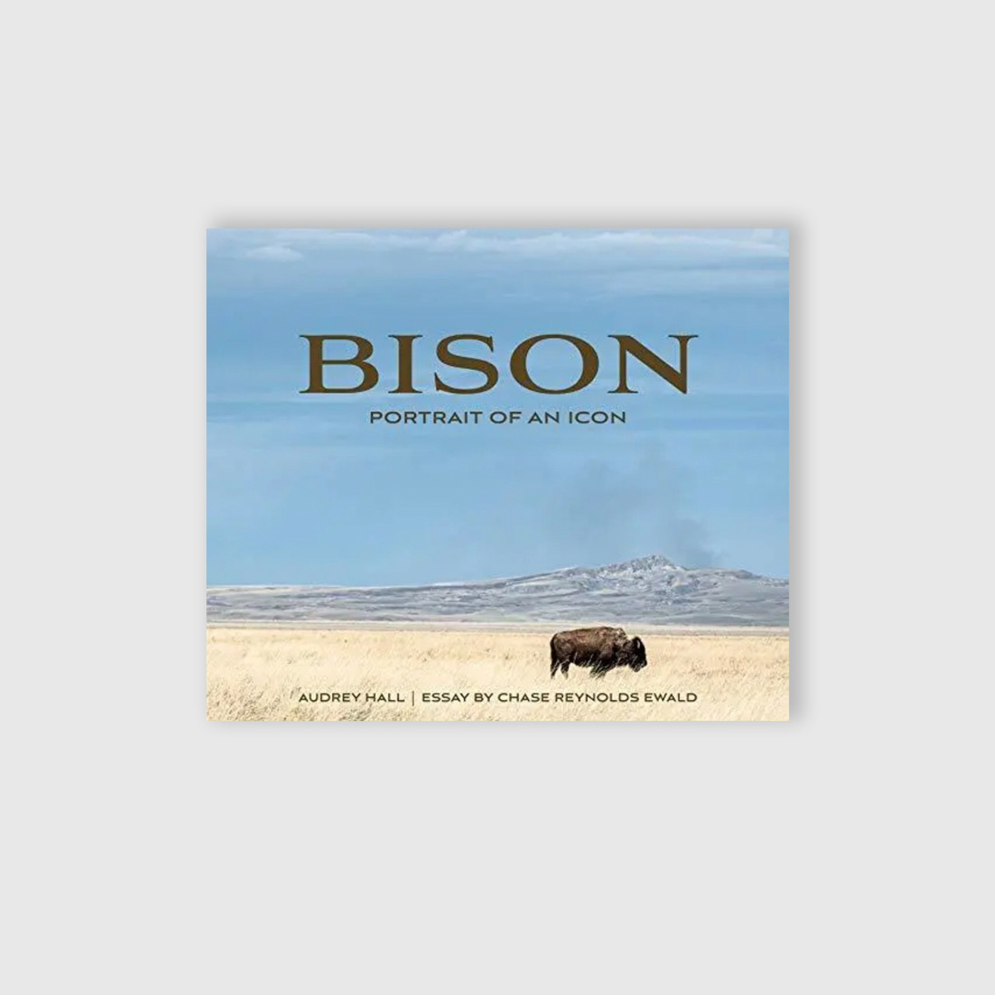 Bison: Portrait of an Icon by Chase Reynolds Ewald and Audrey Hall (Hardcover) | available in the elk & HAMMER Gallery of Bozeman, Montana, curated by Ashley Childs