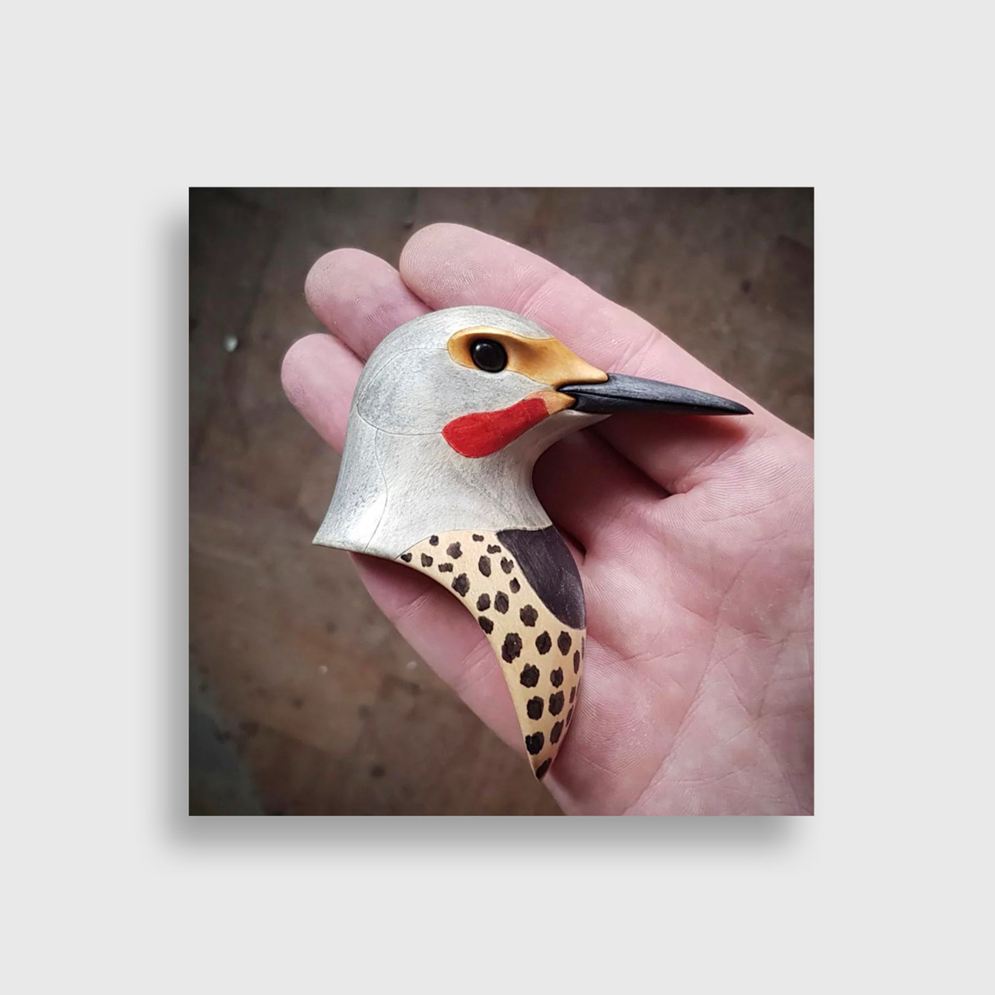 T.A.G. (Tom) Smith Northern Flicker, from the Montana Bird Series 