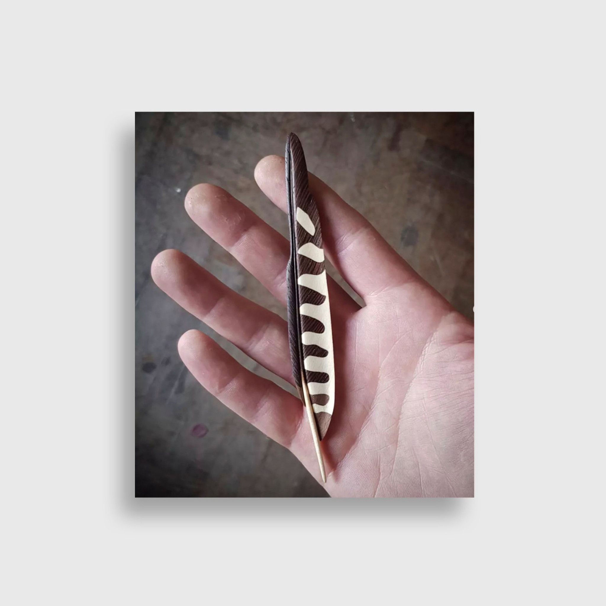 T.A.G. (Tom) Smith American Kestrel Feather, from the Montana Bird Series 