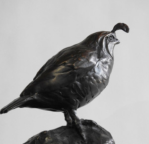 California Quail, Bronze, 7", Bronze Bird by Kindrie Grove of Canada, Handmade Bronze Sculpture  | available in the elk & HAMMER Gallery of Bozeman, Montana; curated by Ashley Childs, artist, maker, owner and creative director of elk & HAMMER.