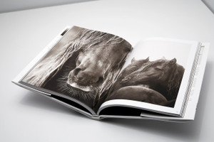 Drew Doggett Wild: the Legendary Horses of Sable Island, by Drew Doggett (Hardcover) 