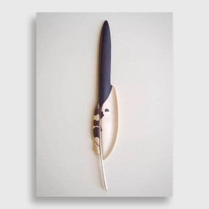 T.A.G. (Tom) Smith Red Tailed Hawk Feather, from the Montana Bird Series 