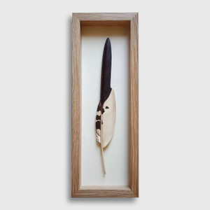 T.A.G. (Tom) Smith Red Tailed Hawk Feather, from the Montana Bird Series 