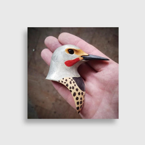 T.A.G. (Tom) Smith Northern Flicker, from the Montana Bird Series 