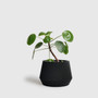 Minimum Design Oslo Indoor Planter in Natural, Sustainable Vases and Planters, Made in France