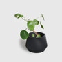 Minimum Design Oslo Indoor Planter in Natural, Sustainable Vases and Planters, Made in France