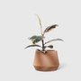Minimum Design Oslo Indoor Planter in Natural, Sustainable Vases and Planters, Made in France
