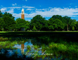 Denny Chimes Postcard