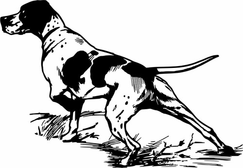 Hunting Bird Dog Retriever Coon Hound Gun Car Truck Window Vinyl Decal Sticker