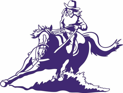 Cowgirl Barrel Racing Rodeo Horse Western Car Truck Window Vinyl Decal Sticker