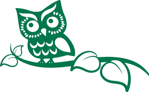 Owl On Branch Bird Animal Owlet Car Truck Laptop Window Wall Vinyl Decal Sticker Green