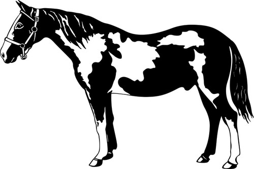 Paint Horse Equine Animal Western Rodeo Car Truck Window Vinyl Decal Sticker Black