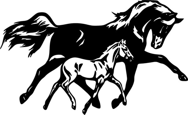 Horse Filly Colt Rodeo Western Farm Car Truck Window Laptop Vinyl Decal Sticker Black And White