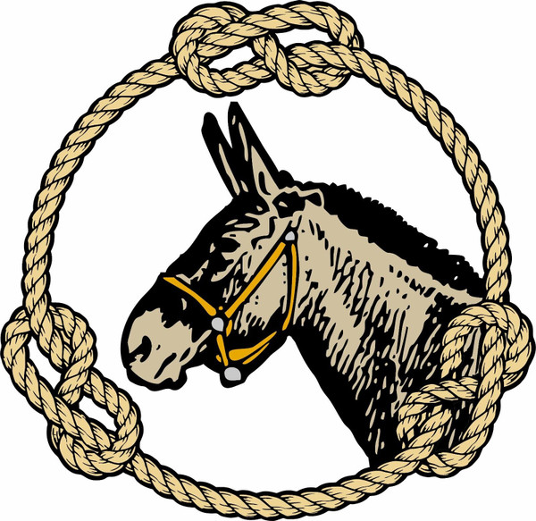 Mule Donkey Horse Jack Jenny Rope Rodeo  Car Truck Window Vinyl Decal Sticker