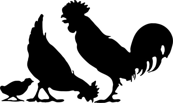 Chicken Hen Wall Art Home Decor Mural Vinyl Decal  Black