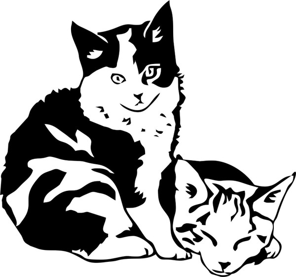 Cat Baby Kitten Pet Animal Car Boat Laptop Truck Window Vinyl Decal Sticker Black Cat Baby Kitten Pet Animal Car Boat Laptop Truck Window Vinyl Decal Sticker Black