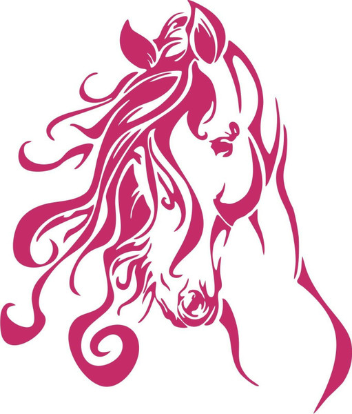 Horse Western Rodeo Cowgirl Farm Car Truck Window Laptop Vinyl Decal Sticker Red