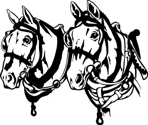 Team Draft Work Mule Horse Rodeo Western Car Truck Window Vinyl Decal Sticker Black