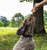 Blackberry Farm Cheesy Bacon Dog Treats - Image 2