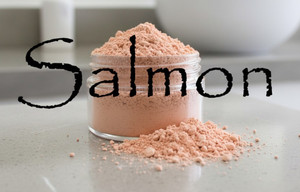 Salmon Vegan Mineral Concealer Salmon Vegan Mineral Concealer