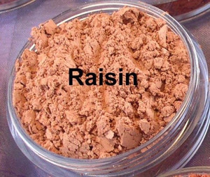 Vegan Matte Blush in Raisin Vegan Matte Blush in Raisin