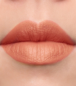 Vegan LIpstick in Naked Gold Vegan LIpstick in Naked Gold