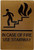 IN CASE OF FIRE USE STAIRWAYTACTILEWITH BRAILLE, RAISED LETTER AND PICTOGRAM  Hpd Sign