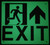 Exit Arrow UP Left  Fire Department Sign