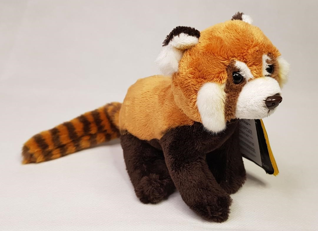 National Geographic Red Panda Baby