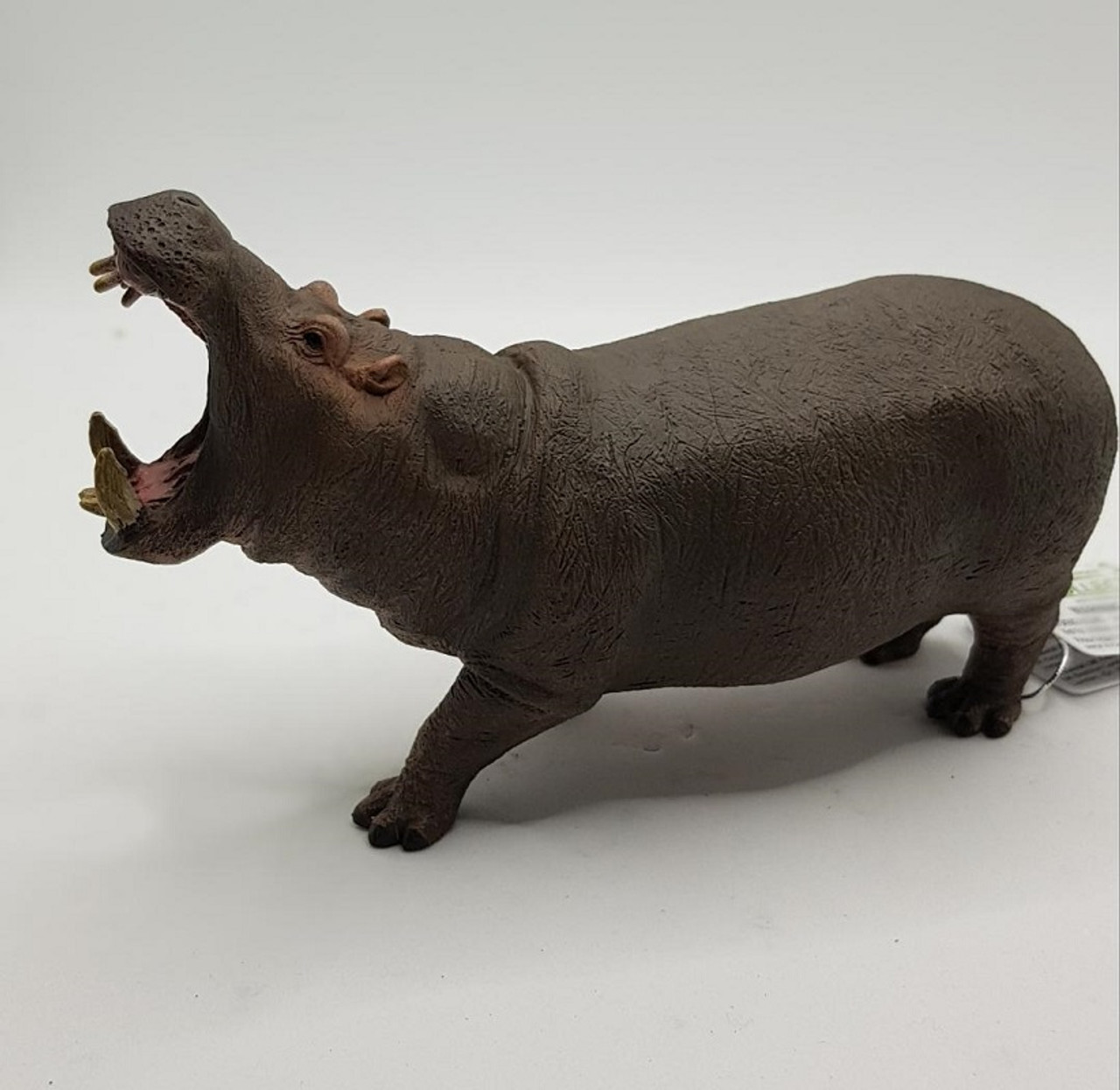 CollectA Hippotamus