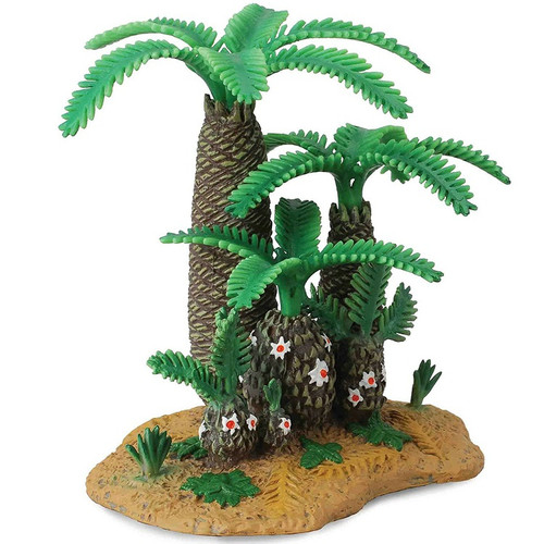 Monanthesia & Cycadeoidea Plant and Trees