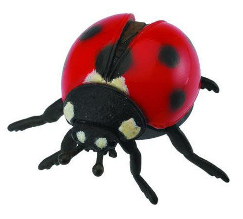 Ladybird
Perfect for your animal collection
CollectA animals are top quality, accurate sculptures, hand painted and great for education encouraging role play.
Approx 5.5cm x 2.5 cm