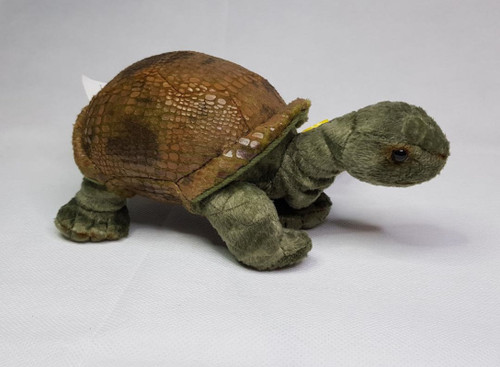 National Geographic Galapagos Turtle Baby