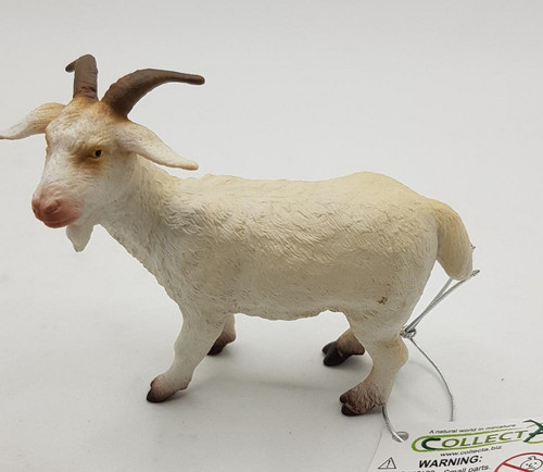 Billy Goat
Perfect for your animal collection
CollectA animals are top quality, accurate sculptures, hand painted and great for education encouraging role play.