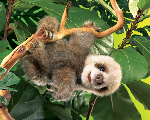 What’s your hurry? This adorable two-toed Baby Sloth Puppet is taking it easy and wants to be carried everywhere with you!

With its soft plush fur, expressive face, and movable mouth, arms, and legs, this rainforest cutie is ready to saunter right into your heart.

Features: 
Realistic Design: Lovingly crafted with lifelike details for an authentic sloth look.
Interactive Play: Movable mouth and limbs bring storytelling to life.
Hook & Loop Tabs: Easily hang the puppet anywhere for display or play.

Award-Winning Quality: Recognized with the 2012 CREATIVE CHILD AWARDS Preferred Choice Award.

Perfect for All Ages: A lovable companion for puppet shows, imaginative play, and sloth enthusiasts!

Size: 28 cm (L) x 38 cm (H) x 23 cm (W)
Recommended Age: 3+ years

Slow down and enjoy the charm of the Folkmanis Baby Sloth Puppet, a cuddly friend for endless fun!