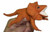 Frilled lizard Finger Puppet